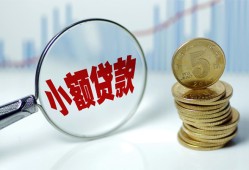东莞17哪里可以小额贷款-东莞17哪里有民间借贷-东莞17民间短期私借借款