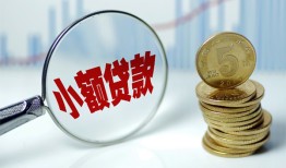 东莞17哪里可以小额贷款-东莞17哪里有民间借贷-东莞17民间短期私借借款